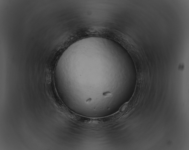 X0000091190751200708301237