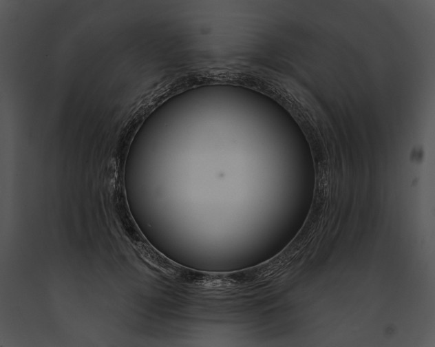 X0000091190752200708301237