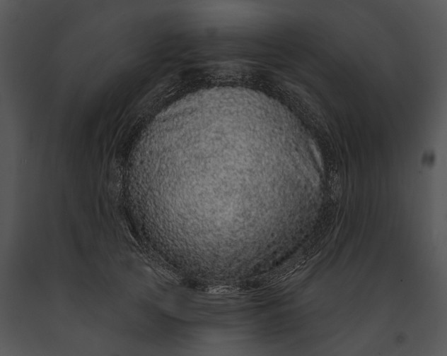 X0000091190753200708301237