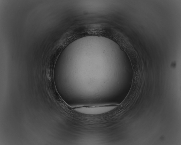 X0000091190755200708301237