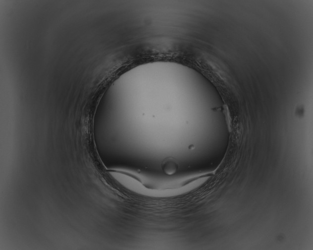 X0000091190756200708301237