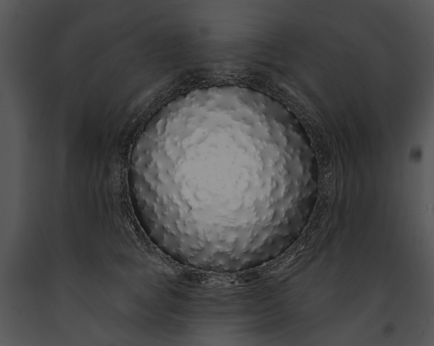 X0000091190757200708301237