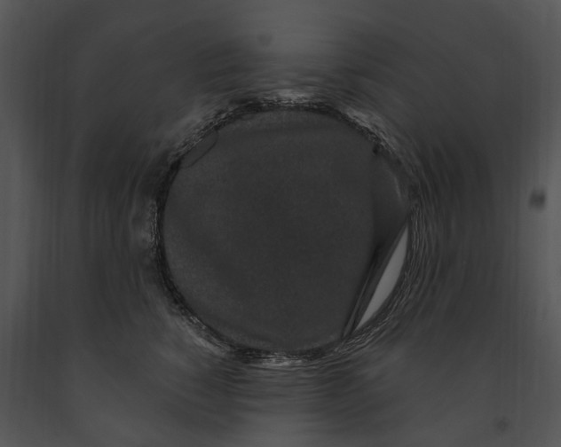 X0000091190760200708301237