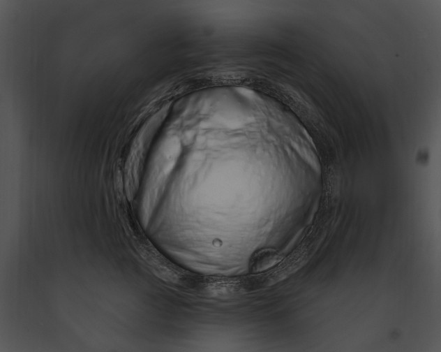 X0000091190761200708301237