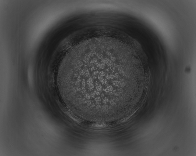 X0000091190765200708301237