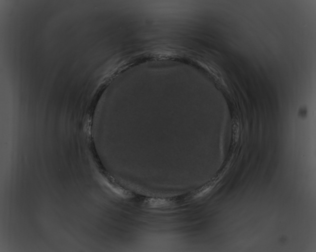 X0000091190766200708301237