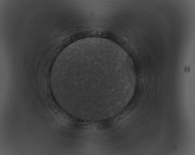 X0000091190769200708301236