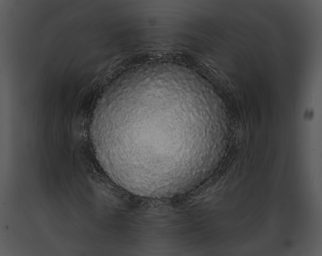 X0000091190770200708301236