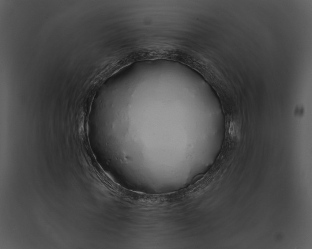 X0000091190771200708301236