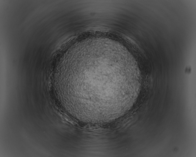 X0000091190774200708301236