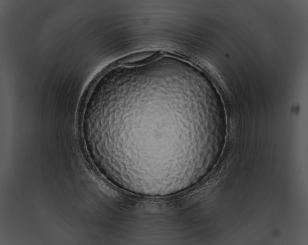 X0000091190780200708301236