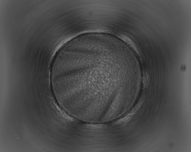 X0000091190781200708301236