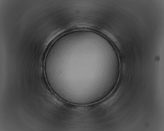 X0000091190782200708301236