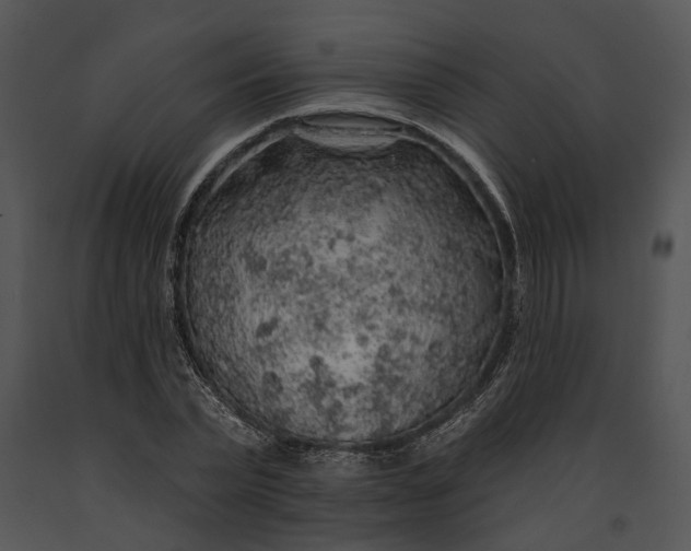 X0000091190783200708301236