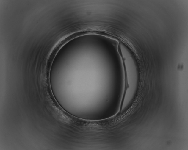 X0000091190784200708301236