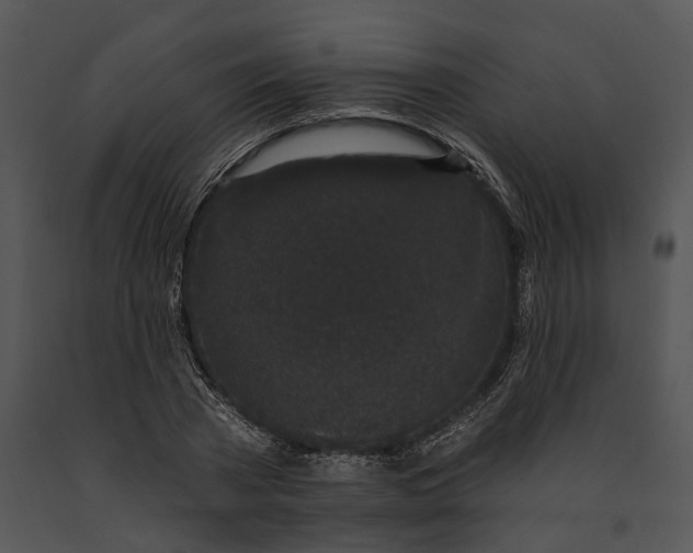 X0000091190785200708301236