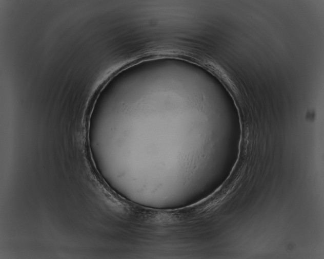 X0000091190787200708301236