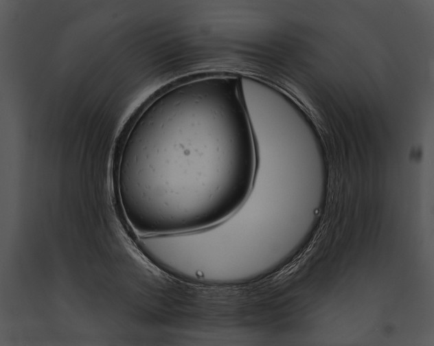 X0000091190788200708301236