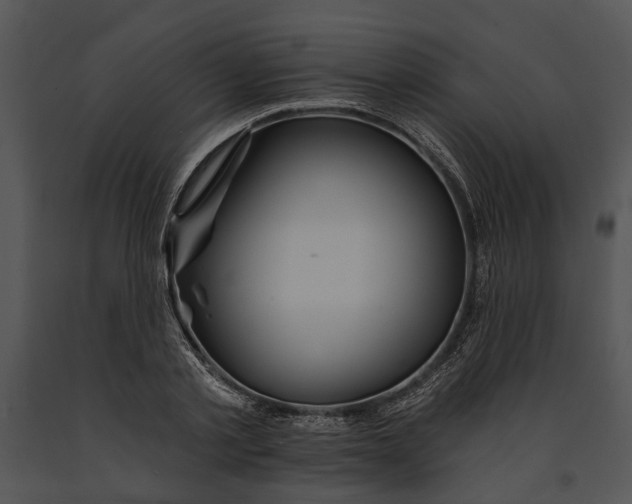 X0000091190789200708301236