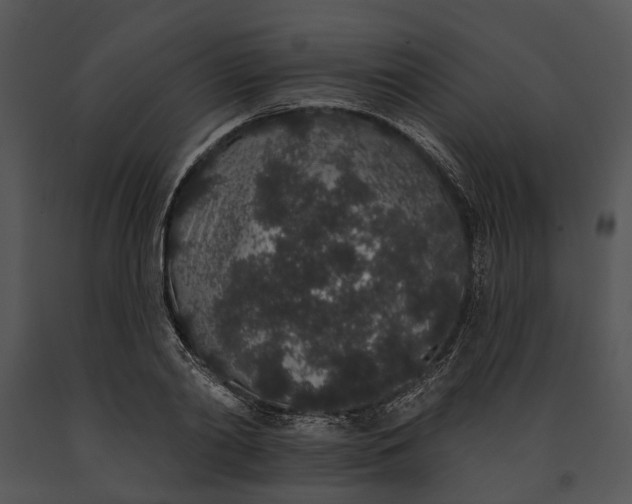 X0000091190790200708301236