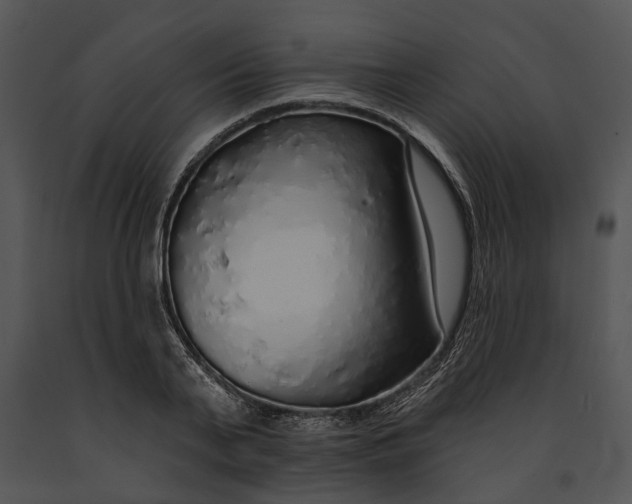 X0000091190791200708301236