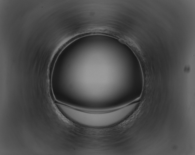 X0000091190792200708301236