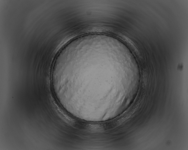 X0000091190794200708301236