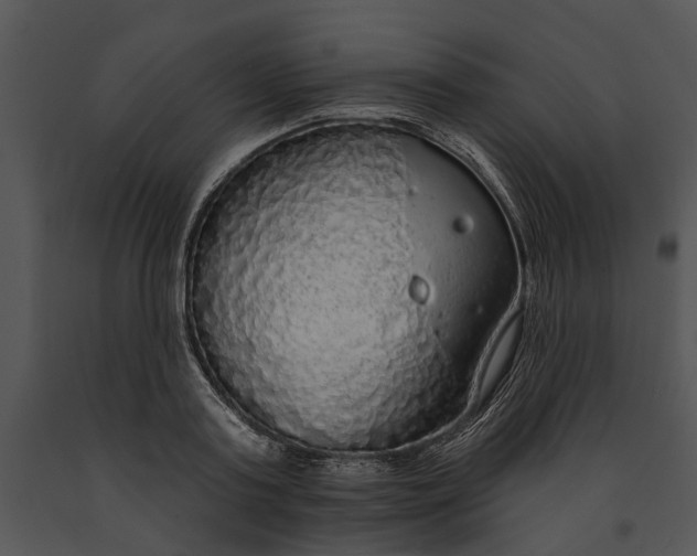 X0000091190795200708301236