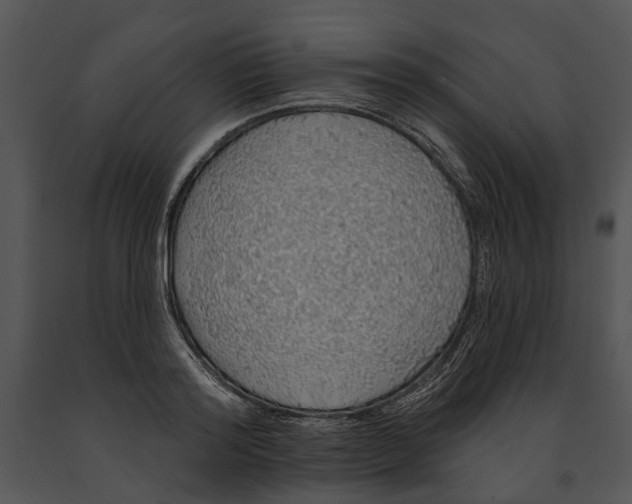 X0000091190796200708301236