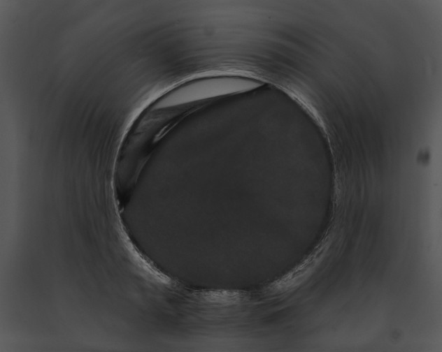 X0000091190797200708301236