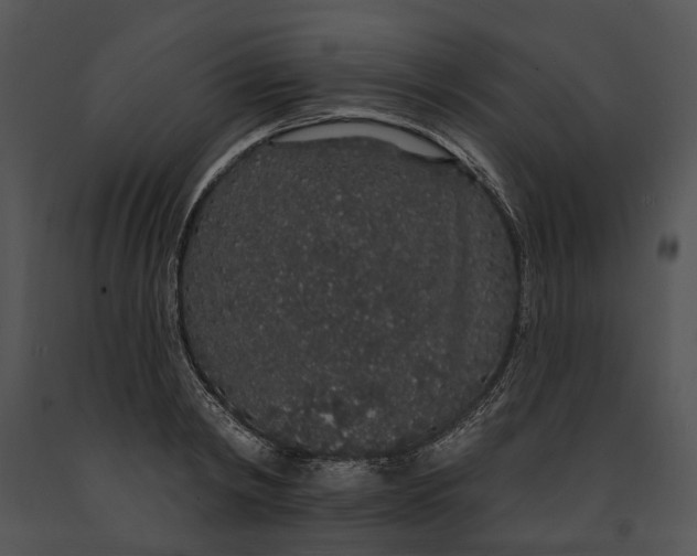 X0000091190798200708301236