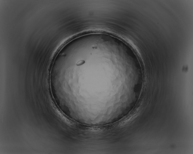 X0000091190799200708301236