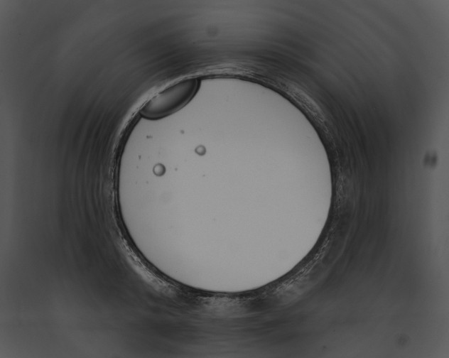 X0000091190800200708301236