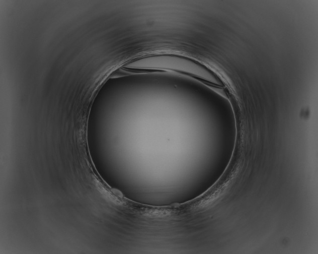 X0000091190801200708301236