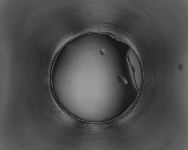 X0000091190803200708301236