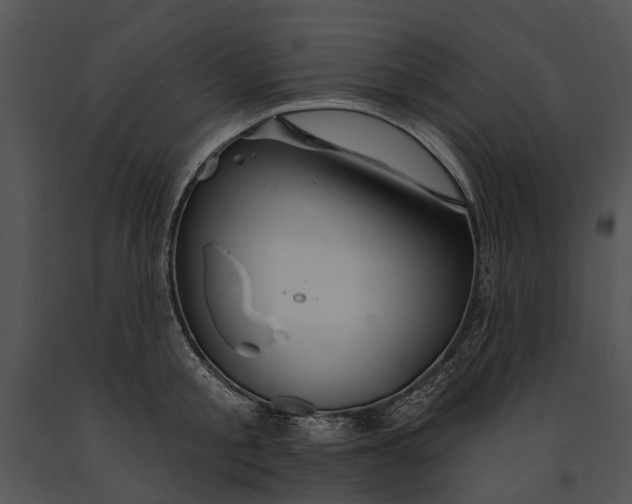 X0000091190805200708301236