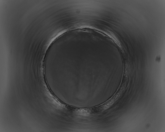 X0000091190806200708301236