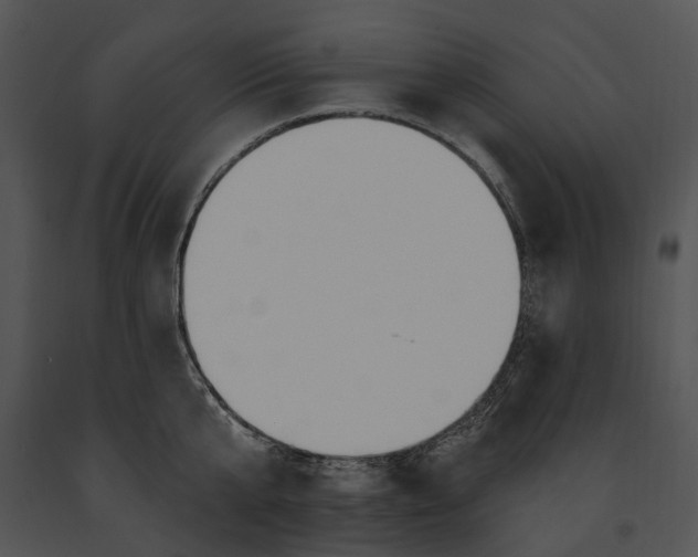 X0000091190807200708301236