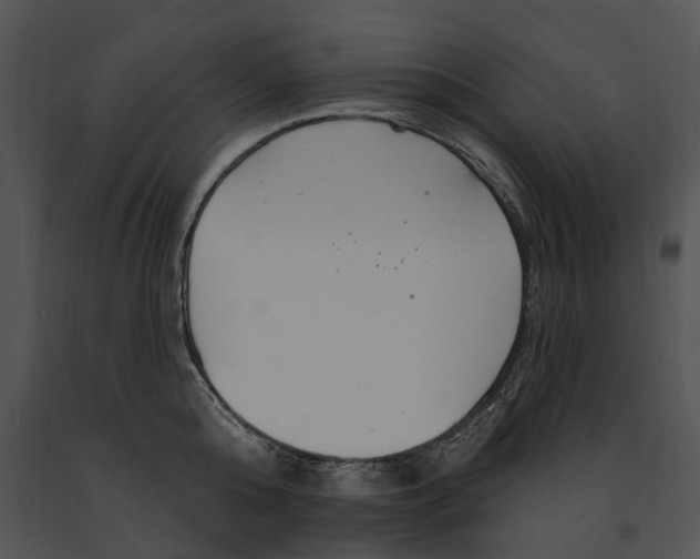 X0000091190808200708301236