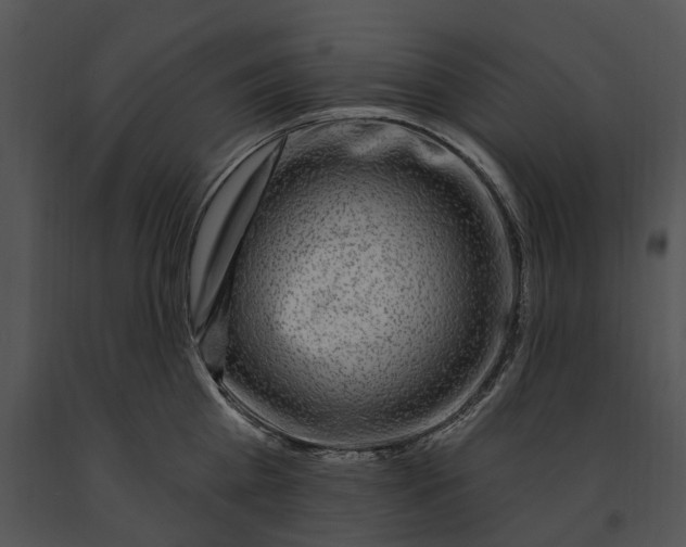 X0000091190809200708301236