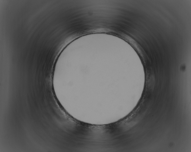 X0000091190810200708301236