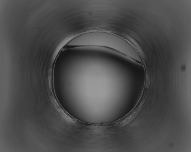 X0000091190812200708301236