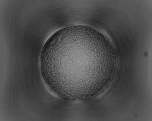 X0000091190814200708301236