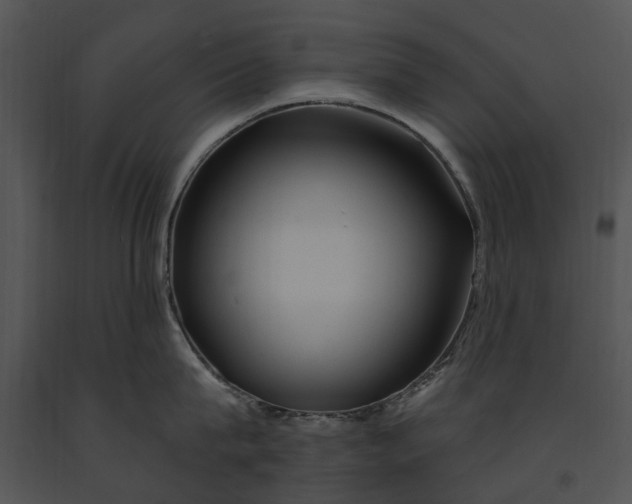 X0000091190815200708301236