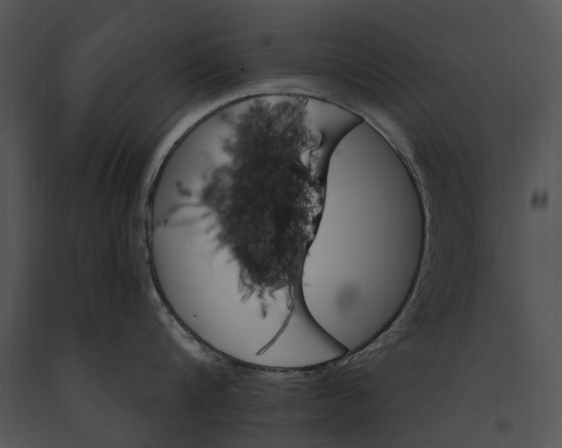 X0000091190816200708301236