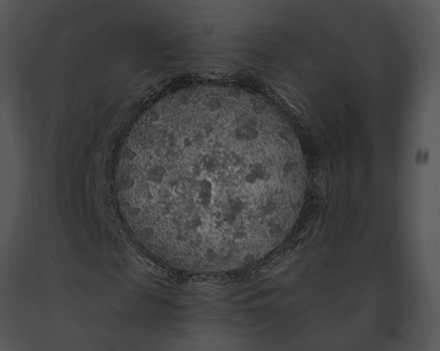 X0000091190817200708301235