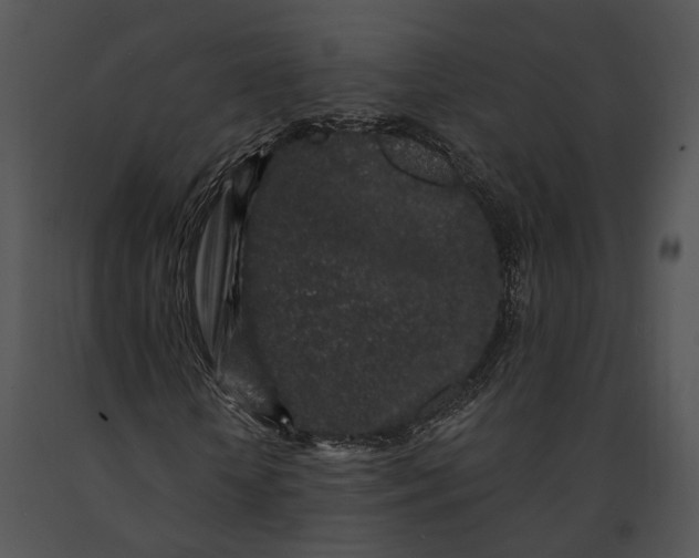 X0000091190818200708301235