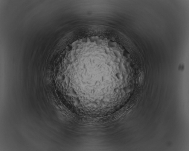 X0000091190819200708301235