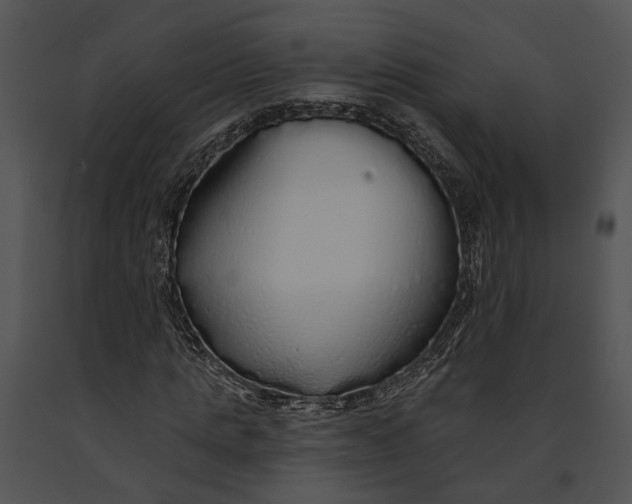 X0000091190821200708301235