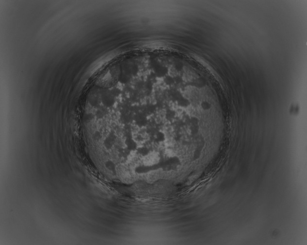 X0000091190823200708301235